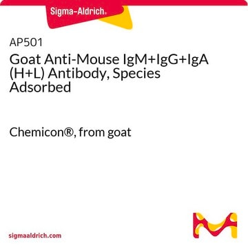 Goat Anti-Mouse IgM+IgG+IgA (H+L) Antibody, Species Adsorbed Chemicon&#174;, from goat