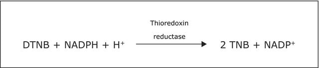 Thioredoxin Reductase from rat liver buffered aqueous glycerol solution, &#8805;100&#160;units/mg protein (Bradford)
