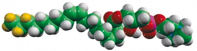 18:1-d7 Lyso PC Avanti Polar Lipids