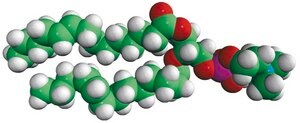 14:1 (Δ9-Trans) PC 1,2-dimyristelaidoyl-sn-glycero-3-phosphocholine, powder