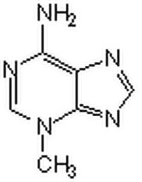 Autophagy Inhibitor, 3-MA Autophagy Inhibitor, 3-MA, CAS 5142-23-4, is a cell-permeable autophagic sequestration blocker. Acts as an inhibitor of III PI3-Kinase.