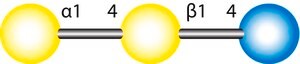 Globotriose
