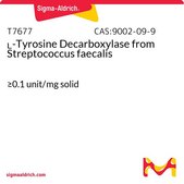 L-Tyrosine Decarboxylase from Streptococcus faecalis ≥0.1 unit/mg solid
