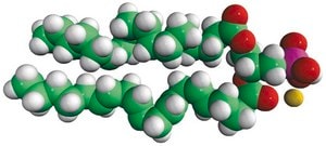 18:0-20:4 PA 1-stearoyl-2-arachidonoyl-sn-glycero-3-phosphate (sodium salt), chloroform