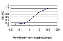 ANTI-ICOSLG antibody produced in mouse clone 4D12, purified immunoglobulin, buffered aqueous solution