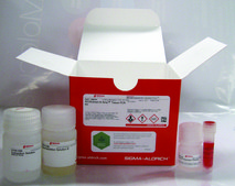 REDExtract-N-Amp™ Tissue PCR Kit sufficient for 10 reactions, sufficient for 100 reactions, sufficient for 1000 reactions, hotstart, dNTPs included
