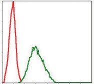 Monoclonal Anti-NQO1 antibody produced in mouse clone 4D12, ascites fluid