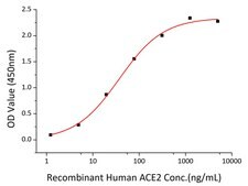 Recombinant 2019-nCoV S1+S2 ECD (S-ECD) Protein with His tag