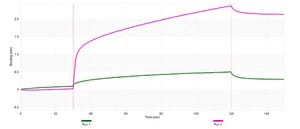 Anti-NAXE/AIBP Antibody, clone 2E22 ZooMAb® Rabbit Monoclonal recombinant, expressed in HEK 293 cells