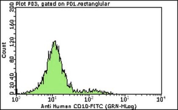 Milli-Mark&#174; Anti-CD10-FITC Antibody, clone SS2/36 clone SS2/36, Milli-Mark&#174;, from mouse
