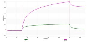 Anti-NMUR1 Antibody, clone 1J15 ZooMAb® Rabbit Monoclonal recombinant, expressed in HEK 293 cells
