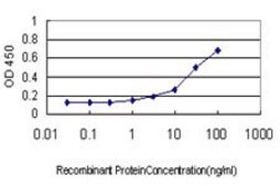 Monoclonal Anti-CDC45L antibody produced in mouse clone 4C2, purified immunoglobulin, buffered aqueous solution