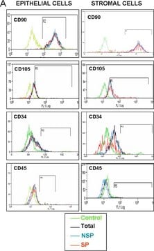 Anti-Thy-1 Antibody, clone F15-42-1, Phycoerythrin conjugated clone F15-42-1, Chemicon&#174;, from mouse