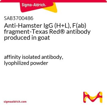 Anti-Hamster IgG (H+L), F(ab) fragment-Texas Red&#174; antibody produced in goat affinity isolated antibody, lyophilized powder