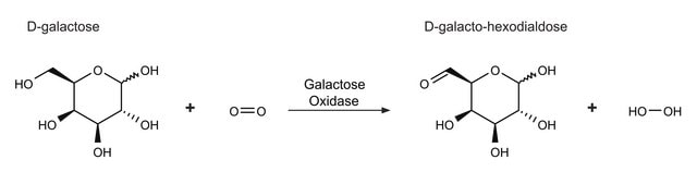 Galactose Oxidase from Dactylium dendroides lyophilized powder, &#8805;3,000&#160;units/g solid
