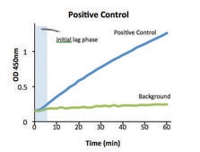 AST Activity Assay Kit sufficient for 100&#160;colorimetric&nbsp;tests