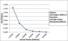 Anti-Human IgG1 antibody, Rabbit monoclonal recombinant, expressed in HEK 293 cells, clone RM117, purified immunoglobulin