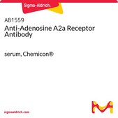 Anti-Adenosine A2a Receptor Antibody serum, Chemicon®