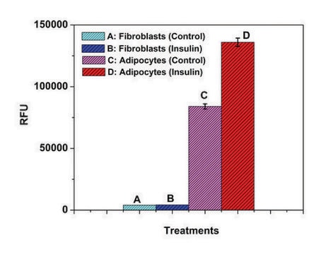 Fatty Acid Uptake Kit sufficient for 100 fluorometric&nbsp;tests
