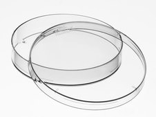 Plant-Safe Cell Culture Petri Dishes With Lid polyactide (PLA), W × H 100 mm × 15 mm, pack of 375 ea