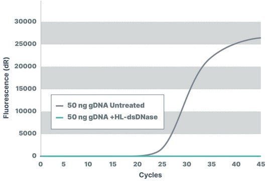 dsDNase For gDNA removal, recombinant, expressed in Pichia pastoris, Heat labile, Triton-free