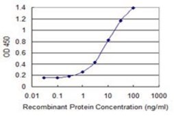 Monoclonal Anti-HUS1 antibody produced in mouse clone 2B12, purified immunoglobulin, buffered aqueous solution