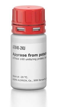 三磷酸腺苷双磷酸酶 来源于马铃薯 ATPase &#8805;60&#160;units/mg protein, lyophilized powder (partially purified)