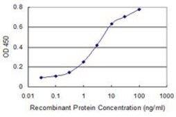 ANTI-ISL1 antibody produced in mouse clone 8A3, purified immunoglobulin, buffered aqueous solution