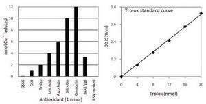 总抗氧化能力测定试剂盒 Sufficient for 100 Colorimetric tests