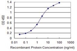 Monoclonal Anti-SMS antibody produced in mouse clone 1G6, purified immunoglobulin, buffered aqueous solution