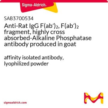 Anti-Rat IgG F(ab&#8242;)2, F(ab&#8242;)2 fragment, highly cross absorbed-Alkaline Phosphatase antibody produced in goat affinity isolated antibody, lyophilized powder