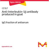 Anti-Interleukin-1β antibody produced in goat IgG fraction of antiserum