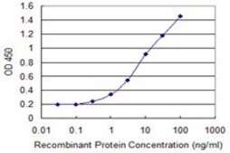 Monoclonal Anti-LOC91614 antibody produced in mouse clone 4D9, purified immunoglobulin, buffered aqueous solution