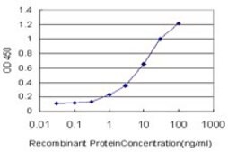 Monoclonal Anti-HGD antibody produced in mouse clone 3G4, purified immunoglobulin, buffered aqueous solution