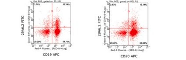 Anti-Tspan-33 Antibody, clone 29A6.2 Antibody, FITC conjugate clone 29A6.2, from mouse, FITC conjugate