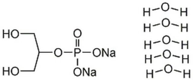 &#946;-Glycerophosphate, Disodium Salt, Pentahydrate A phosphate group donor in matrix mineralization studies that acts as a protein phosphatase inhibitor.