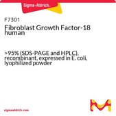 Fibroblast Growth Factor-18 human >95% (SDS-PAGE and HPLC), recombinant, expressed in E. coli, lyophilized powder