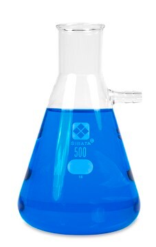 Filtering Flask with heavy-duty rim capacity 500 mL, borosilicate glass
