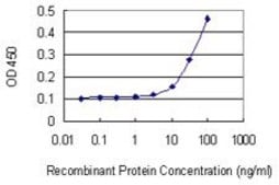 Monoclonal Anti-HEY2, (N-terminal) antibody produced in mouse clone 2B10, purified immunoglobulin, buffered aqueous solution