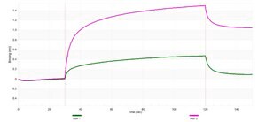 Anti-Caveolin-3 Antibody, clone 1L10 ZooMAb&#174; Rabbit Monoclonal recombinant, expressed in HEK 293 cells