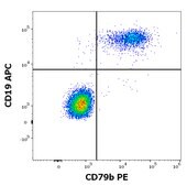Monoclonal Anti-CD79b PE produced in mouse