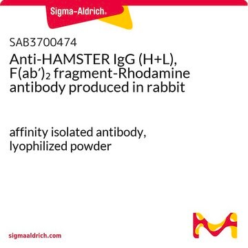 Anti-HAMSTER IgG (H+L), F(ab&#8242;)2 fragment-Rhodamine antibody produced in rabbit affinity isolated antibody, lyophilized powder