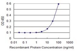 Monoclonal Anti-ENAH antibody produced in mouse clone 3E6, purified immunoglobulin, buffered aqueous solution
