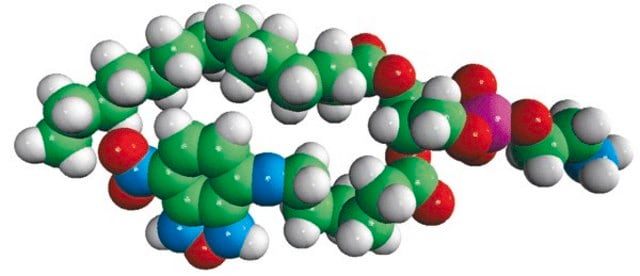 14:0-06:0 NBD PE Avanti Polar Lipids 810151P, powder