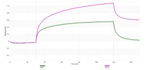 Anti-SPHK1 Antibody, clone 2H5 ZooMAb&#174; Rabbit Monoclonal recombinant, expressed in HEK 293 cells