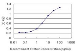 Monoclonal Anti-CHST3 antibody produced in mouse clone 1C4, purified immunoglobulin, buffered aqueous solution