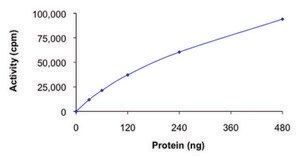 FAK, active, GST tagged human PRECISIO® Kinase, recombinant, expressed in baculovirus infected Sf9 cells, ≥70% (SDS-PAGE), buffered aqueous glycerol solution