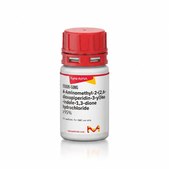 4-Aminomethyl-2-(2,6-dioxopiperidin-3-yl)isoindole-1,3-dione hydrochloride ≥95%