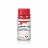 S-(5′-Adenosyl)-L-methionine p-toluenesulfonate salt ≥80% (HPLC), ≥80% (spectrophotometric assay)
