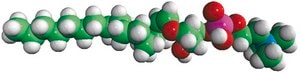 C16(Plasm) LPC 1-(1Z-hexadecenyl)-sn-glycero-3-phosphocholine, powder